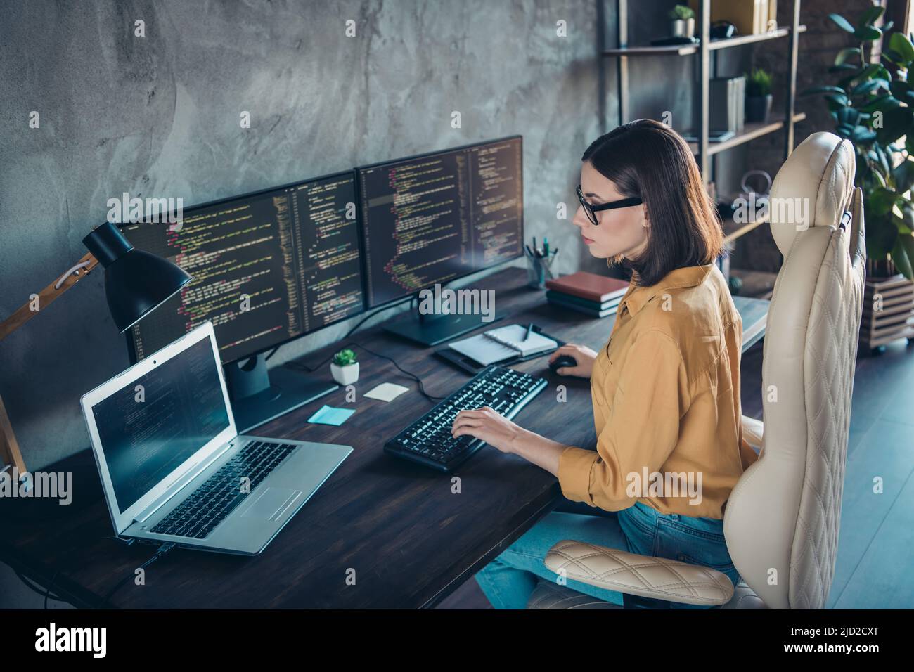 Web Development